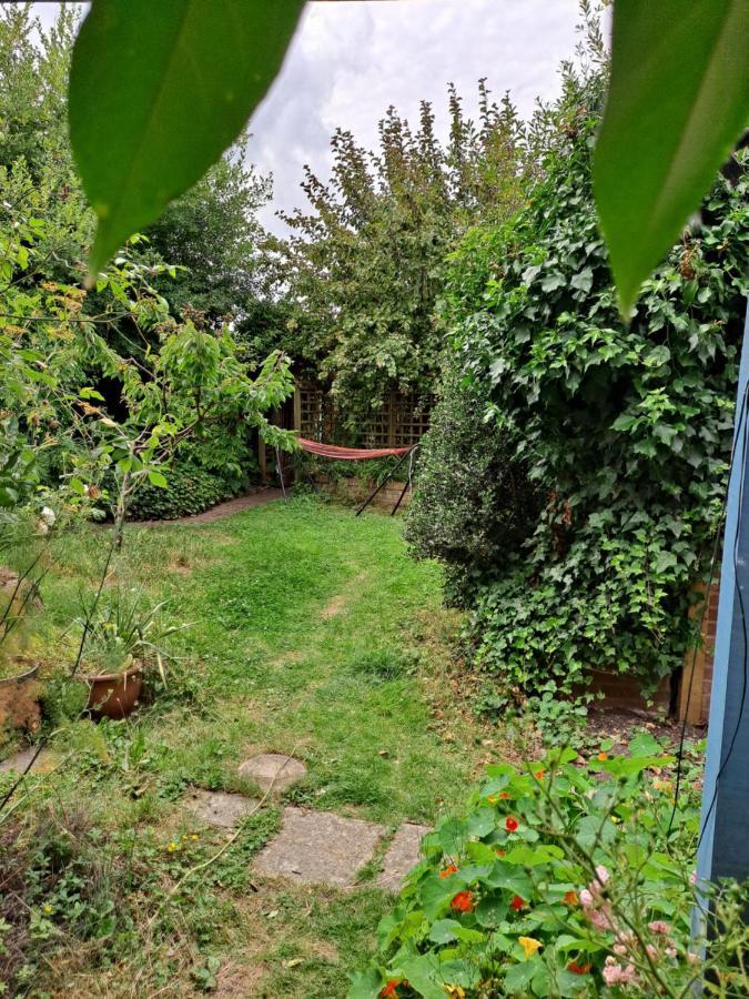 Pilgrims Of The Goddess Bed and Breakfast Glastonbury Exteriör bild